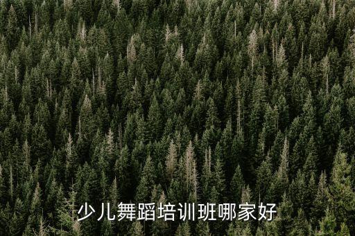 少儿舞蹈培训班哪家好