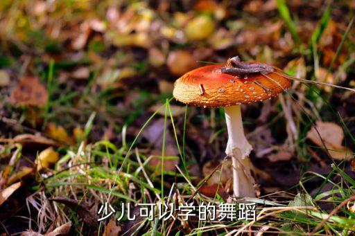 少儿可以学的舞蹈