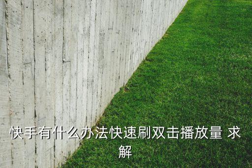 快手有什么办法快速刷双击播放量 求解