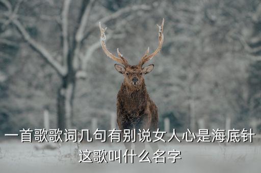 一首歌歌词几句有别说女人心是海底针这歌叫什么名字
