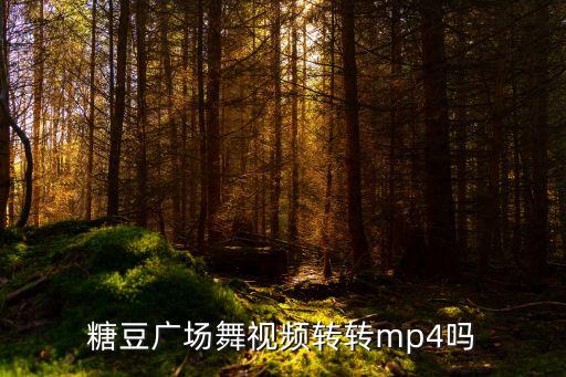 糖豆广场舞视频转转mp4吗