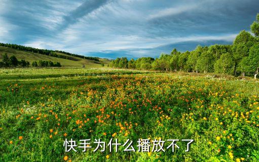 打开快手视频不播放，快手为什么播放不了