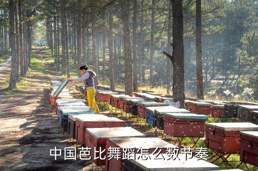 芭蕾怎么数节奏，中国芭比舞蹈怎么数节奏