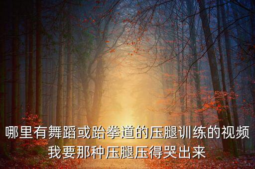 哪里有舞蹈或跆拳道的压腿训练的视频我要那种压腿压得哭出来