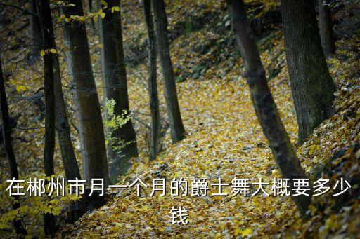 泌阳爵士健身多少钱，在郴州市月一个月的爵士舞大概要多少钱
