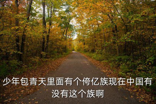 宝哒依儿是什么民族的，六年级习作四左上的小男孩是什么民族拉着两头骆驼的小男孩  搜