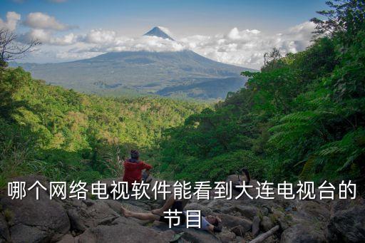 哪个网络电视软件能看到大连电视台的节目