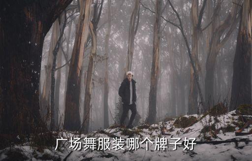 广场舞服装哪个牌子好