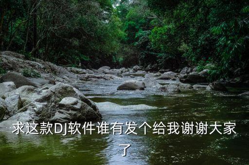 求这款DJ软件谁有发个给我谢谢大家了