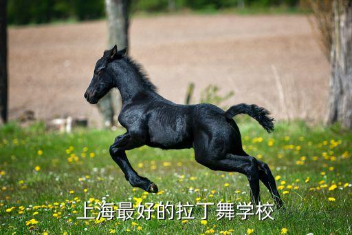 上海最好的拉丁舞学校