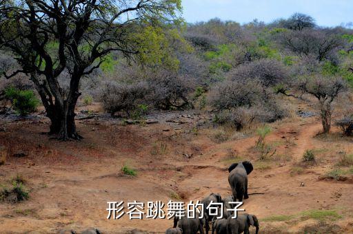 形容跳舞的句子