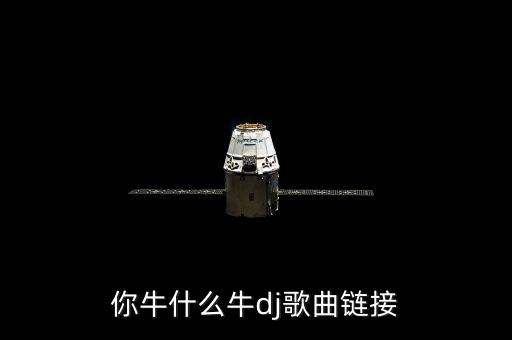 你牛什么牛dj歌曲链接