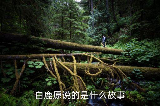 白鹿原说的是什么故事