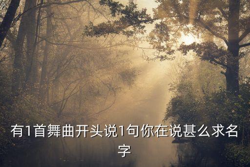 有1首舞曲开头说1句你在说甚么求名字