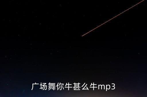 广场舞你牛甚么牛mp3