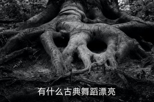 有什么古典舞蹈漂亮