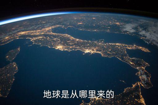 拉丁舞公开赛什么意思，金毛公狗起名