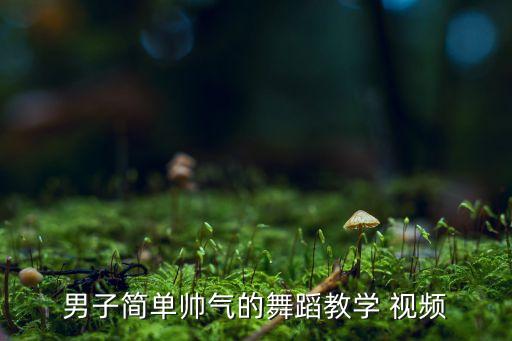 男子简单帅气的舞蹈教学 视频