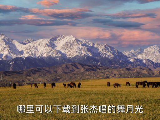 哪里可以下载到张杰唱的舞月光