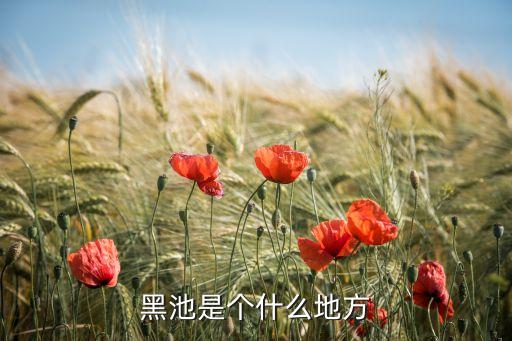 英国黑池在哪里，黑池是个什么地方