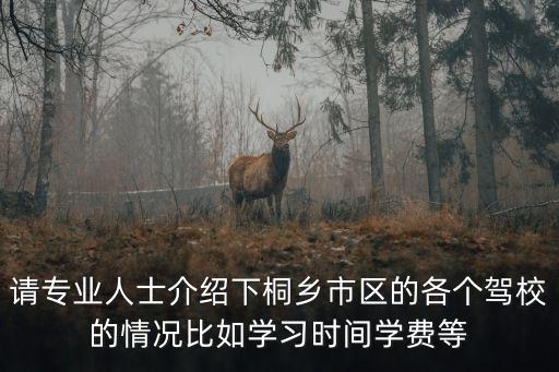 嘉兴有什么桃中心小学，请专业人士介绍下桐乡市区的各个驾校的情况比如学习时间学费等