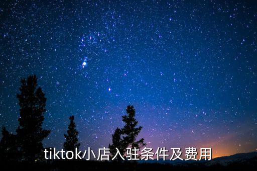 tiktok小店入驻条件及费用