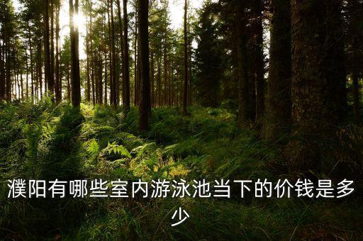 濮阳有哪些室内游泳池当下的价钱是多少