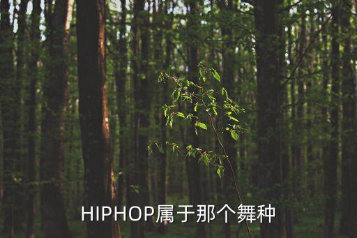 HIPHOP属于那个舞种