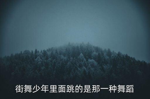 街舞少年跳的是什么舞种，街舞少年里面跳的是那一种舞蹈