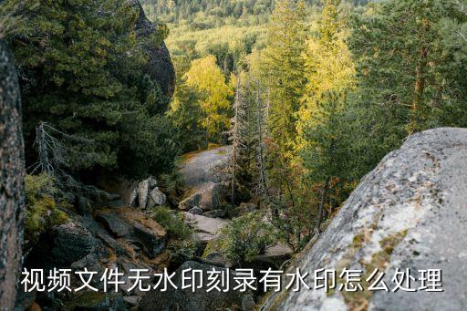 视频文件无水印刻录有水印怎么处理