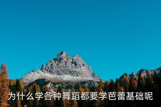 为什么要学芭蕾基本功，为什么学各种舞蹈都要学芭蕾基础呢