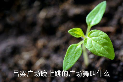 什么广场什么的广场舞，现在什么广场舞最流行