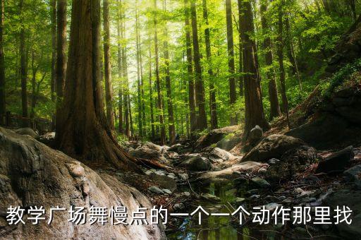 二十步广场舞视频教学，如何学广场舞