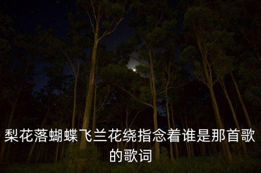 梨花落蝴蝶飞兰花绕指念着谁是那首歌的歌词