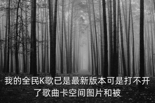 我的全民K歌已是最新版本可是打不开了歌曲卡空间图片和被
