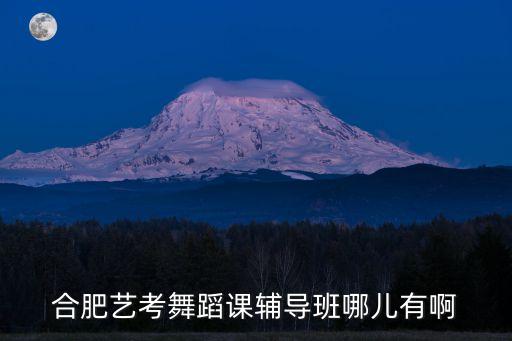 合肥艺考舞蹈课辅导班哪儿有啊