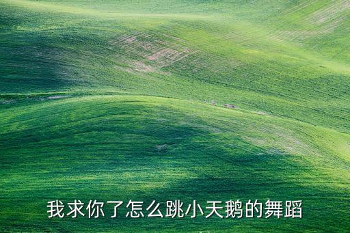 四小天鹅的舞蹈怎么跳，请教四小天鹅舞曲指法