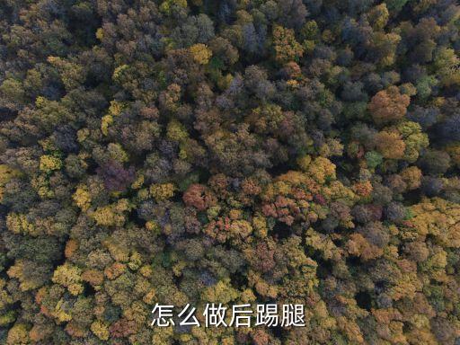 如何踢后腿，踢后腿的技巧