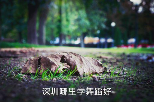 深圳哪里学舞蹈好
