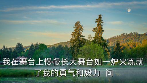 我在舞台上慢慢长大舞台如一炉火炼就了我的勇气和毅力  问