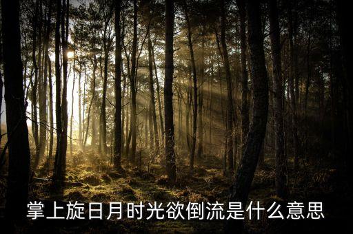 掌上旋日月时光欲倒流是什么意思