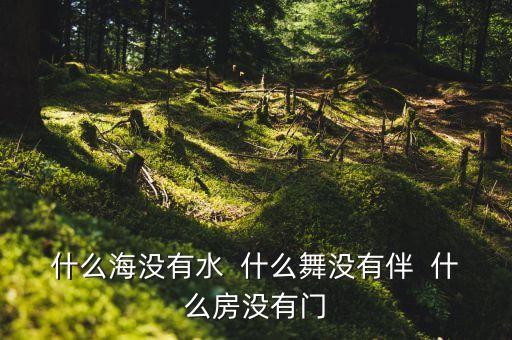 什么海没有水  什么舞没有伴  什么房没有门