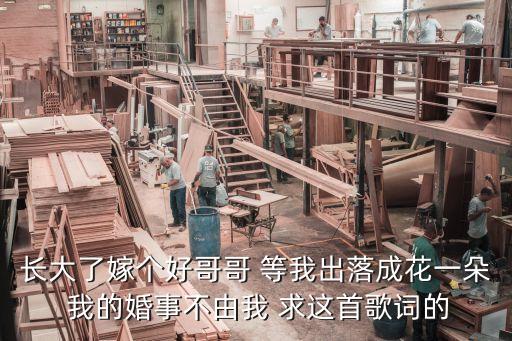 长大了嫁个好哥哥 等我出落成花一朵 我的婚事不由我 求这首歌词的