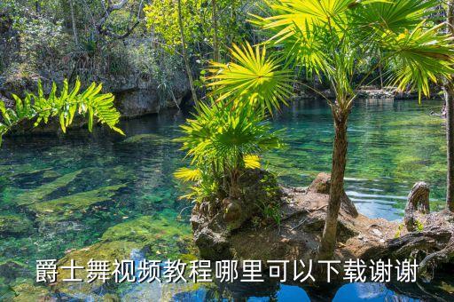 爵士舞零基础教学视频百度云，爵士舞入门视频教程