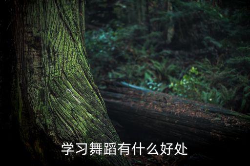 学一个月舞蹈能学什么好处，学习舞蹈有什么好处