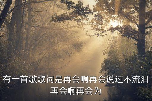 有一首歌歌词是再会啊再会说过不流泪再会啊再会为