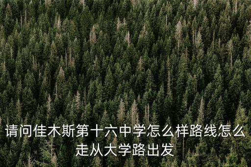 请问佳木斯第十六中学怎么样路线怎么走从大学路出发