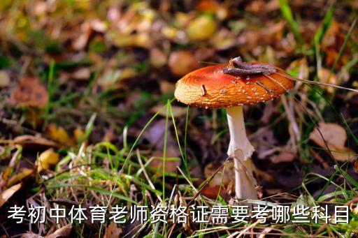 考初中体育老师资格证需要考哪些科目