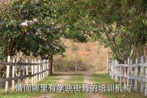 请问哪里有学跳街舞的培训机构