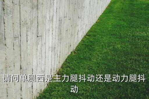 什么叫主力腿和动力腿，请问单腿西是主力腿抖动还是动力腿抖动